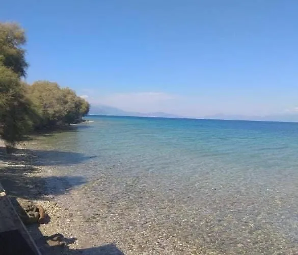 V Akrata
